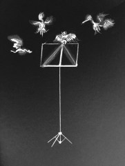 FullSizeRender-16 copy