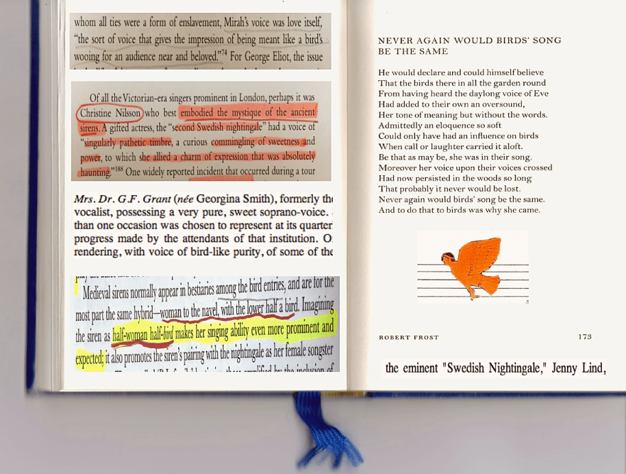 Female-song and birdcalls