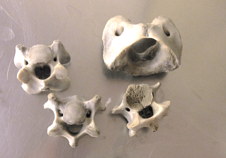 Screen Shot 2016-08-15 at 09.11.43